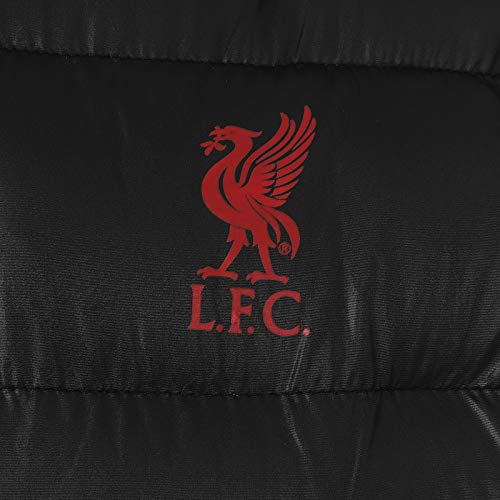 Liverpool FC Officiel Cadeau Gilet rembourré pour homme avec fermeture éclair Noir Taille M