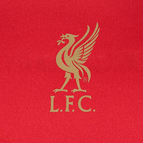 Liverpool FC Cadeau Officiel Ensemble de Survêtement Veste et Pantalon Poly pour Homme Rouge Moyen