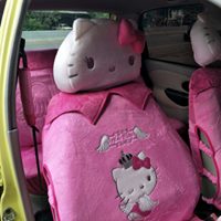 Kitty front car seat cover in car