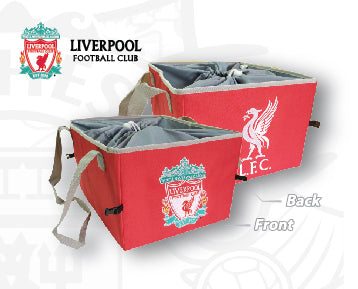 Liverpool Boot Tidy/Trunk Organizer – Premier Car Accessories