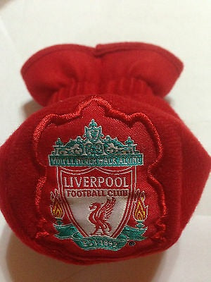 Liverpool FC auto accessory